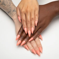 Orangesicle - 221 -Nail Color Room Shop 221 Orangesicle 4 9a91988c 149d 4fa9 bf25 56a1183f08e2