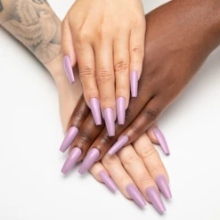 Aster Family - 341 7 Aster Family - 341 -Nail Color Room Shop 341 Aster Family 4