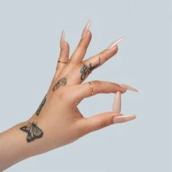 Neutrals Gel-X® Alex Natural Square Short Box Of Tips - 11 Sizes (150pcs) -Nail Color Room Shop 4 4 188ff8a0 8966 4509 9b70 a275980e3dbf