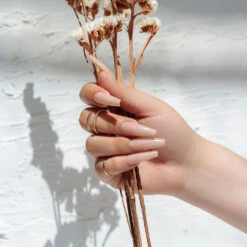 Neutrals Gel-X® Alex Natural Square Short Box Of Tips - 11 Sizes (150pcs) -Nail Color Room Shop ALEX 02 301a2a72 872d 436e a688 020ec89f8b73