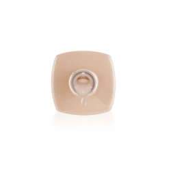 Color Extend Gel Bottle Edition - Insatiable -Nail Color Room Shop ExtendGel Insatiable 5