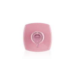 Color Extend Gel Bottle Edition - Roxie -Nail Color Room Shop ExtendGel Roxie 5