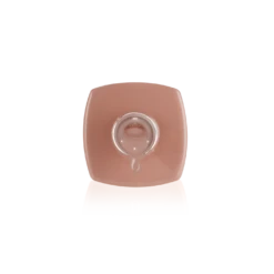 Color Extend Gel Bottle Edition - Sasha -Nail Color Room Shop ExtendGel Sasha 5