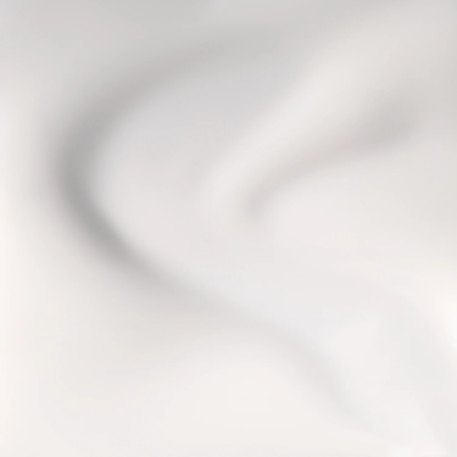 Baby's Breath - N01 2 Baby's Breath - N01 - Image 2