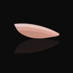 Neutrals Gel-X® Margot Natural Almond Extra Short Box Of Tips - 11 Sizes (150pcs) 12 Neutrals Gel-X® Margot Natural Almond Extra Short Box Of Tips - 11 Sizes (150pcs) -Nail Color Room Shop NAXS 6 Margot