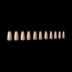 Neutrals Gel-X® Alex Natural Coffin Medium Box Of Tips - 11 Sizes (150pcs) -Nail Color Room Shop NCM 2 b5dd5419 0a17 4ee6 b23f e281ab5dab22