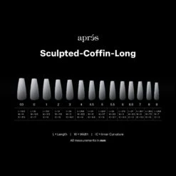 Ombré Gel-X® Sculpted Coffin Long Tip Box Of Tips - (210pcs) -Nail Color Room Shop Ombre SCL