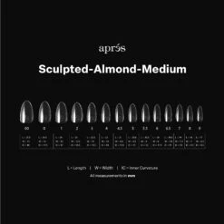 Gel-X® Sculpted Almond Medium Box Of Tips - Mini (280pcs) 12 Gel-X® Sculpted Almond Medium Box Of Tips - Mini (280pcs) -Nail Color Room Shop SAM