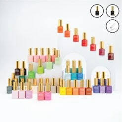 50 Gel Couleur Bundle Set - First Edition